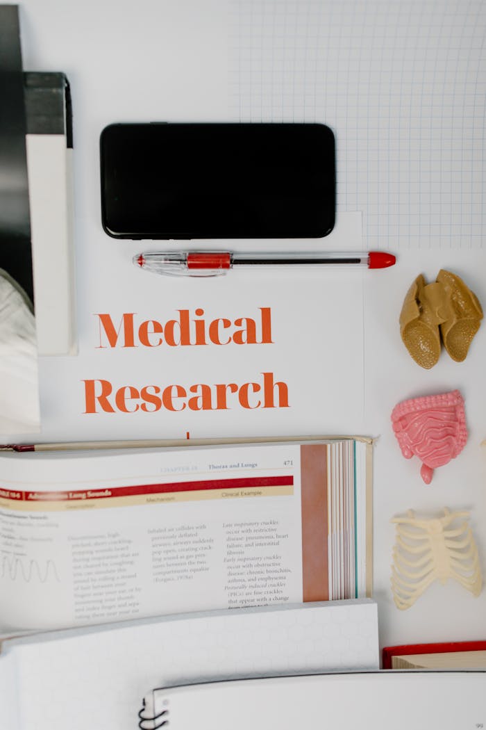Top view of a medical research workspace with study materials and models.